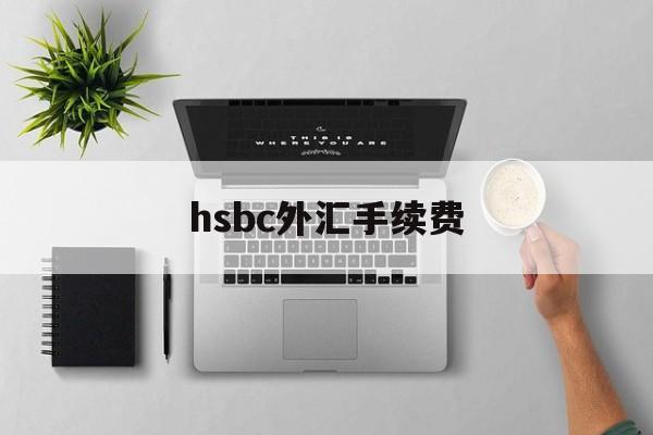 hsbc外汇手续费(国外电汇手续费收取标准)